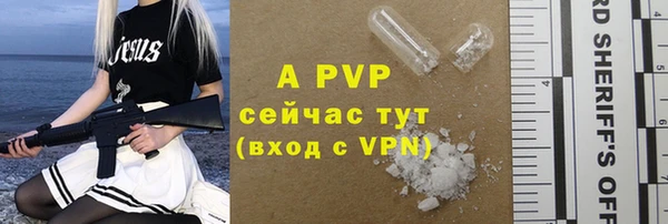 spice Баксан