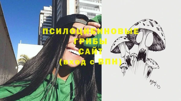 эйфоретик Балахна