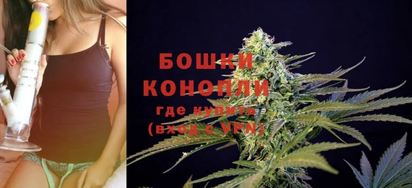шишки Балабаново